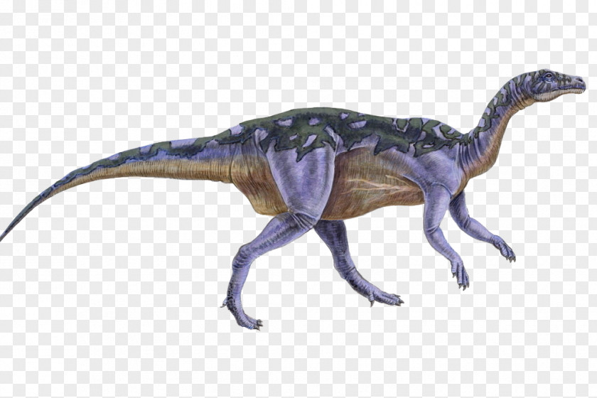 Dinosaur Camptosaurus Ornithopod Stegosaurus Coelurus Genasauria PNG