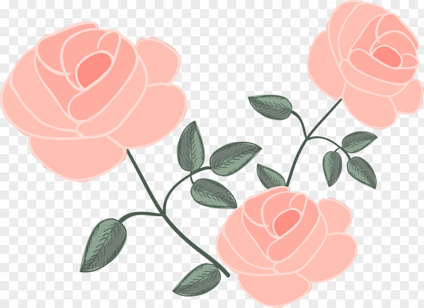 Pink Rose Flower Euclidean Vector Drawing PNG