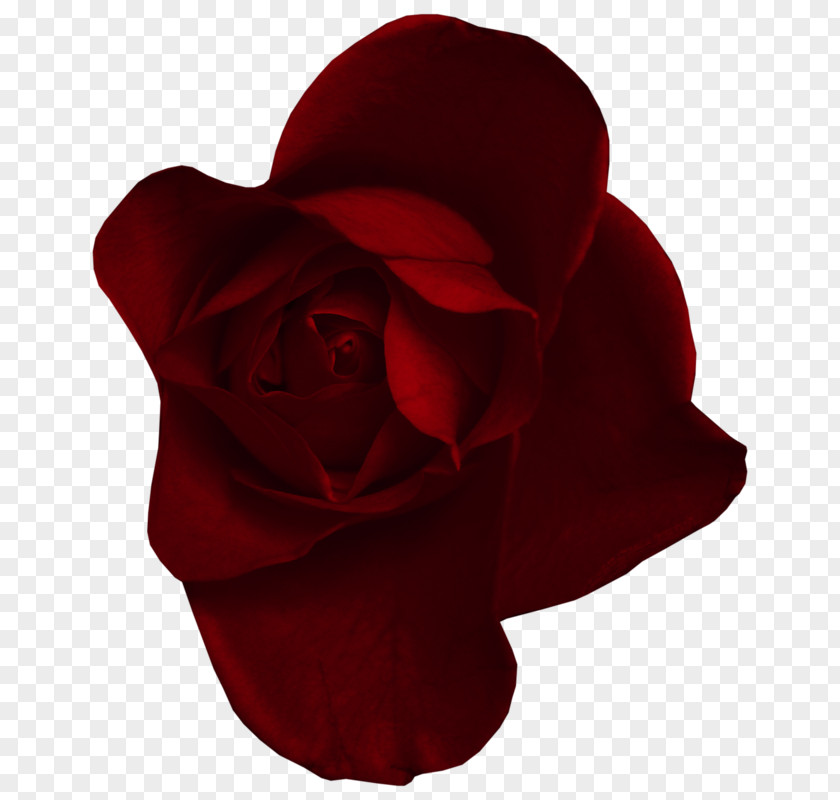 Red Vermelho Escuro Clip Art PNG