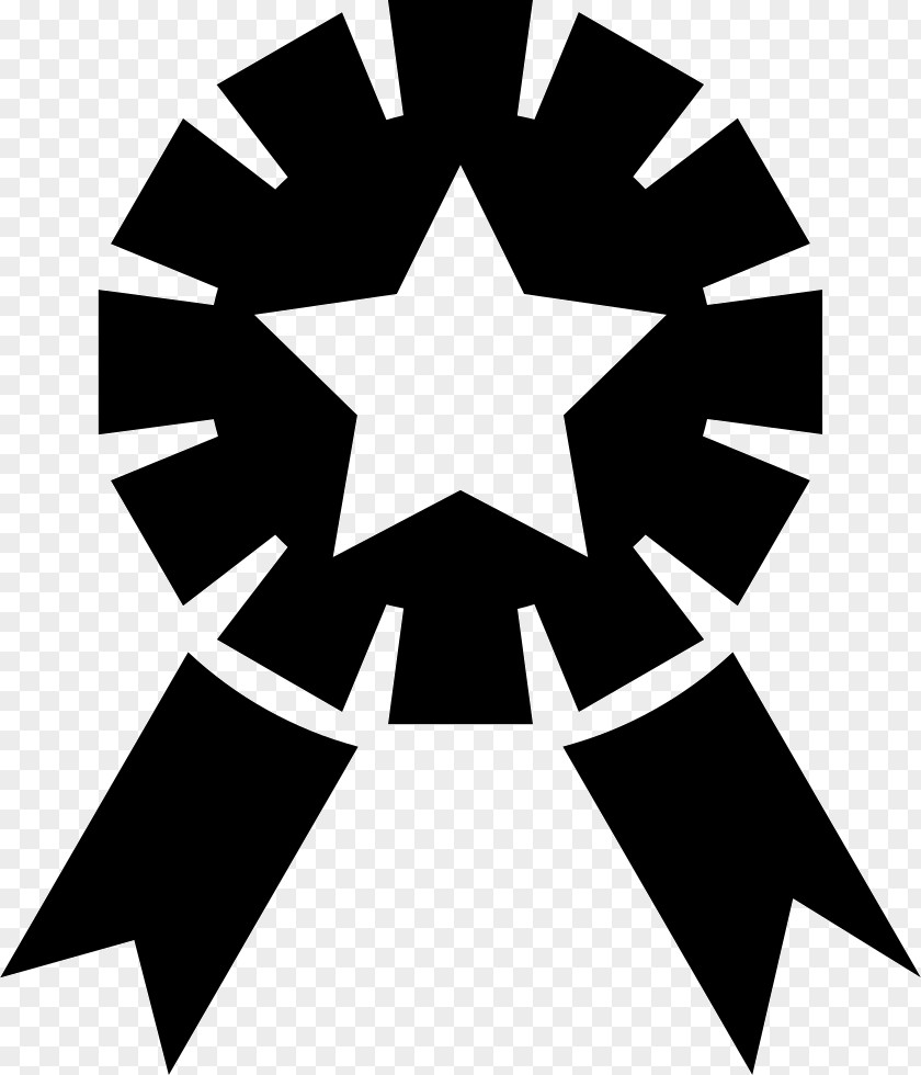 Star Badge Nation Branding Paraguay SanCor Logo PNG