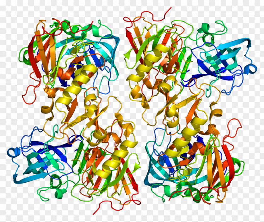 Beta-secretase 2 Protein Serpin 1 Semenogelin PNG