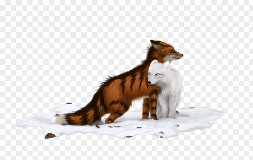 Cat Red Fox Tail Wildlife News PNG