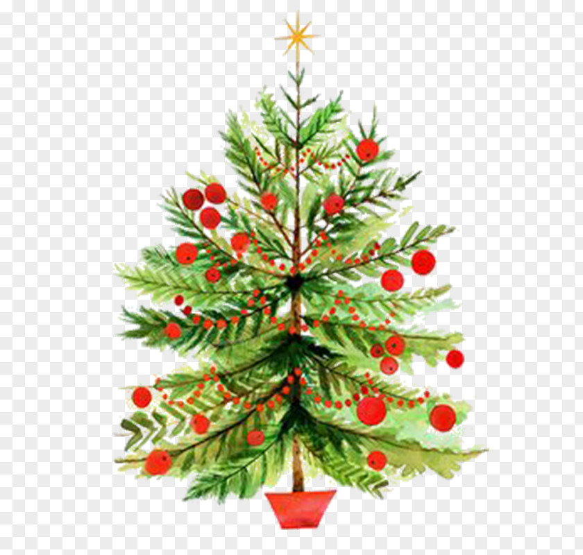 Christmas Tree Pictures Card Clip Art PNG