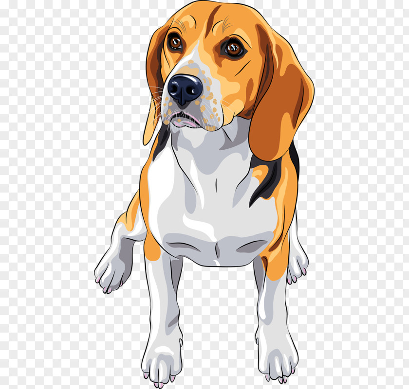 Dog Beagle Jack Russell Terrier Breed PNG