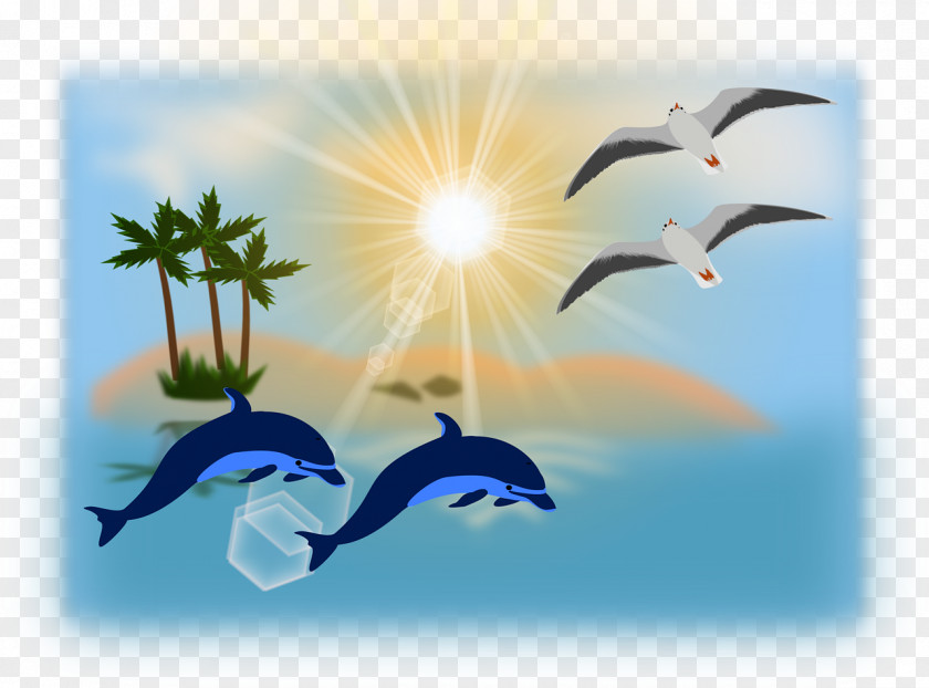Gull Ocean Desktop Wallpaper Clip Art PNG