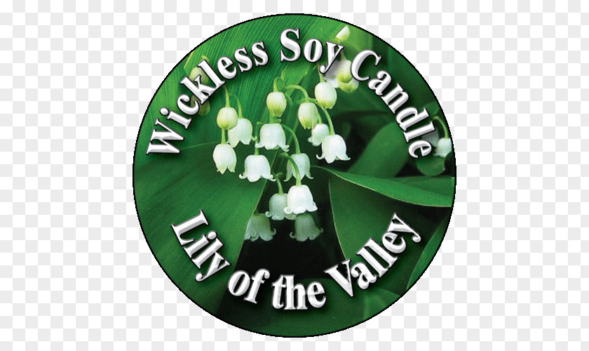 Lily Of Valley Green Flower The Candle PNG