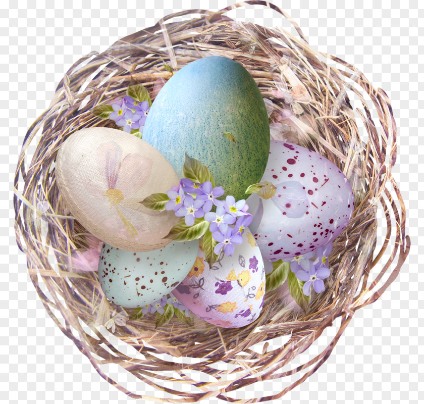 Nest Egg Image Clip Art PNG