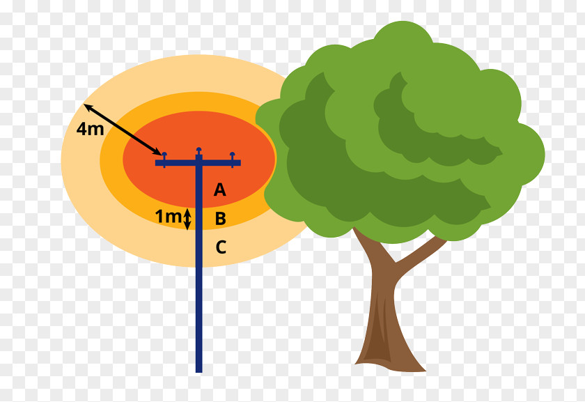 Tree Zone Diagram Clip Art PNG