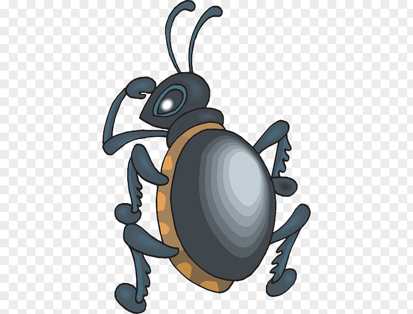 Beetle Animation Clip Art PNG