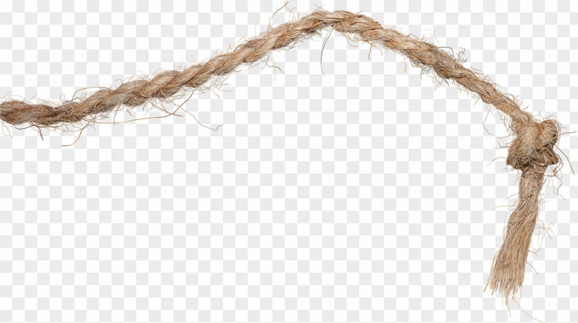 Knotted Rope Knot Hemp PNG