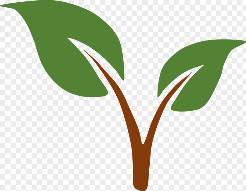 Natural Environment Clip Art Vector Graphics Logo Image PNG