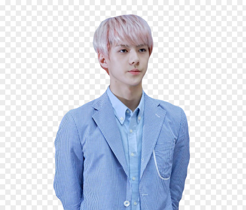 Sehun Musician Art PNG