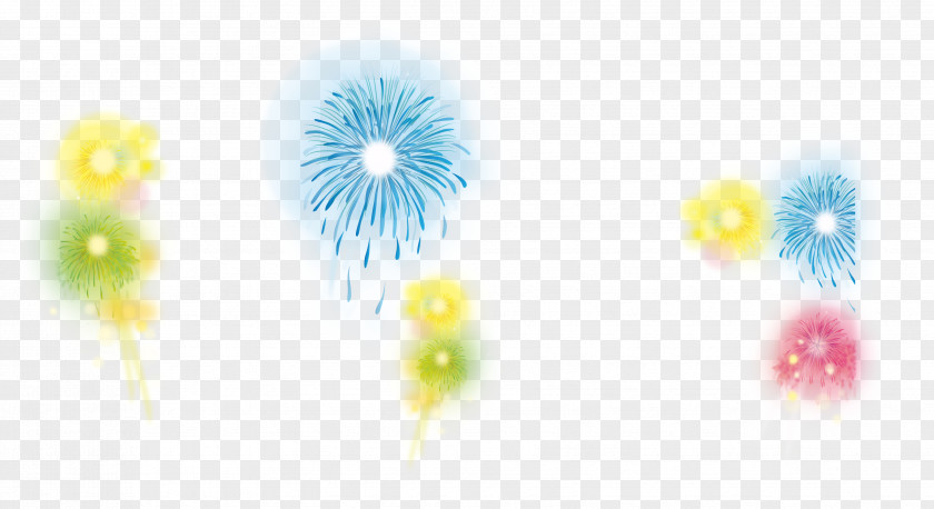 Vector Fireworks Petal Computer Pattern PNG