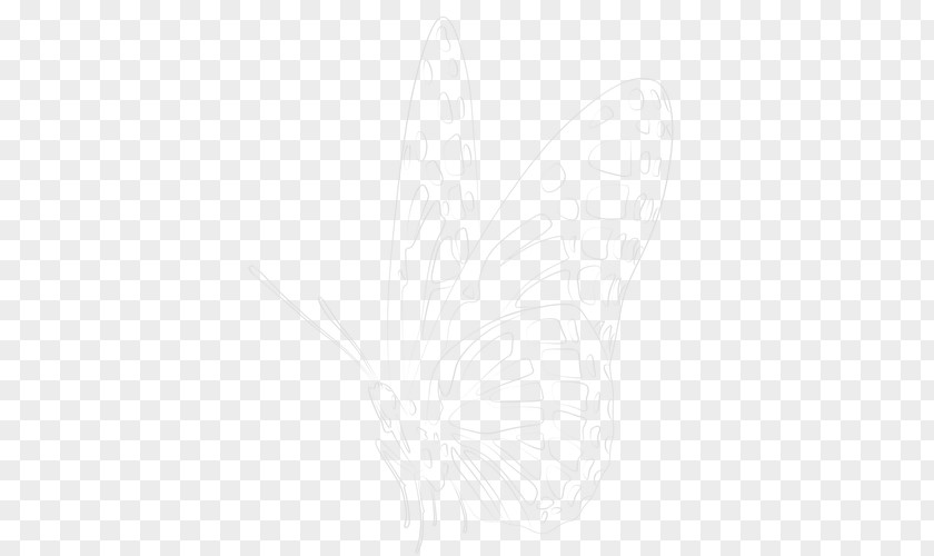 3d Computer Graphics Sketch Moth White Line Art PNG