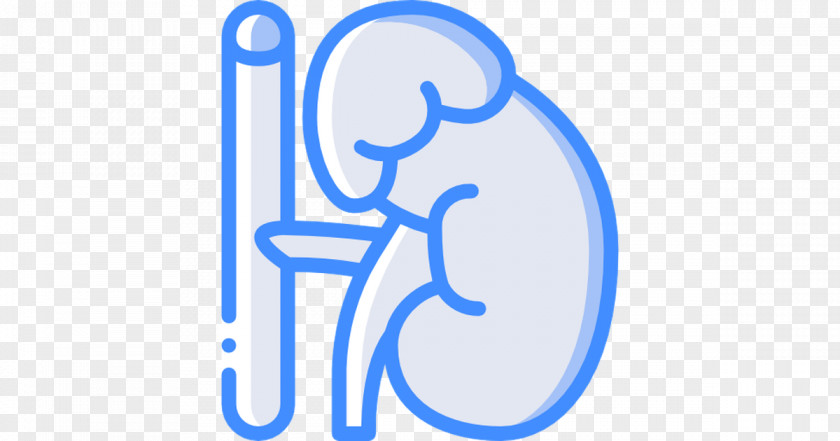 Adrenal Gland Cartoon Fatigue Logo Unsplash Health PNG
