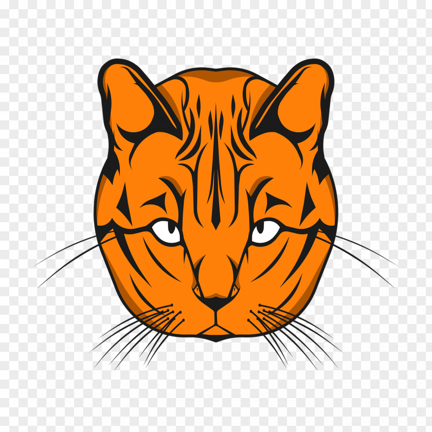 Cat Whiskers Tiger Clip Art PNG