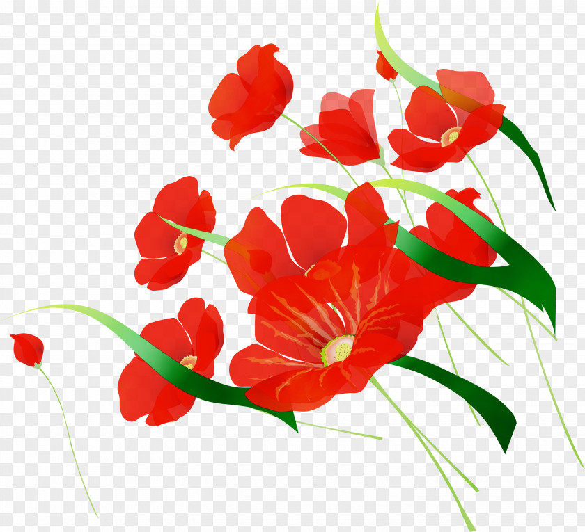 Floral Design PNG