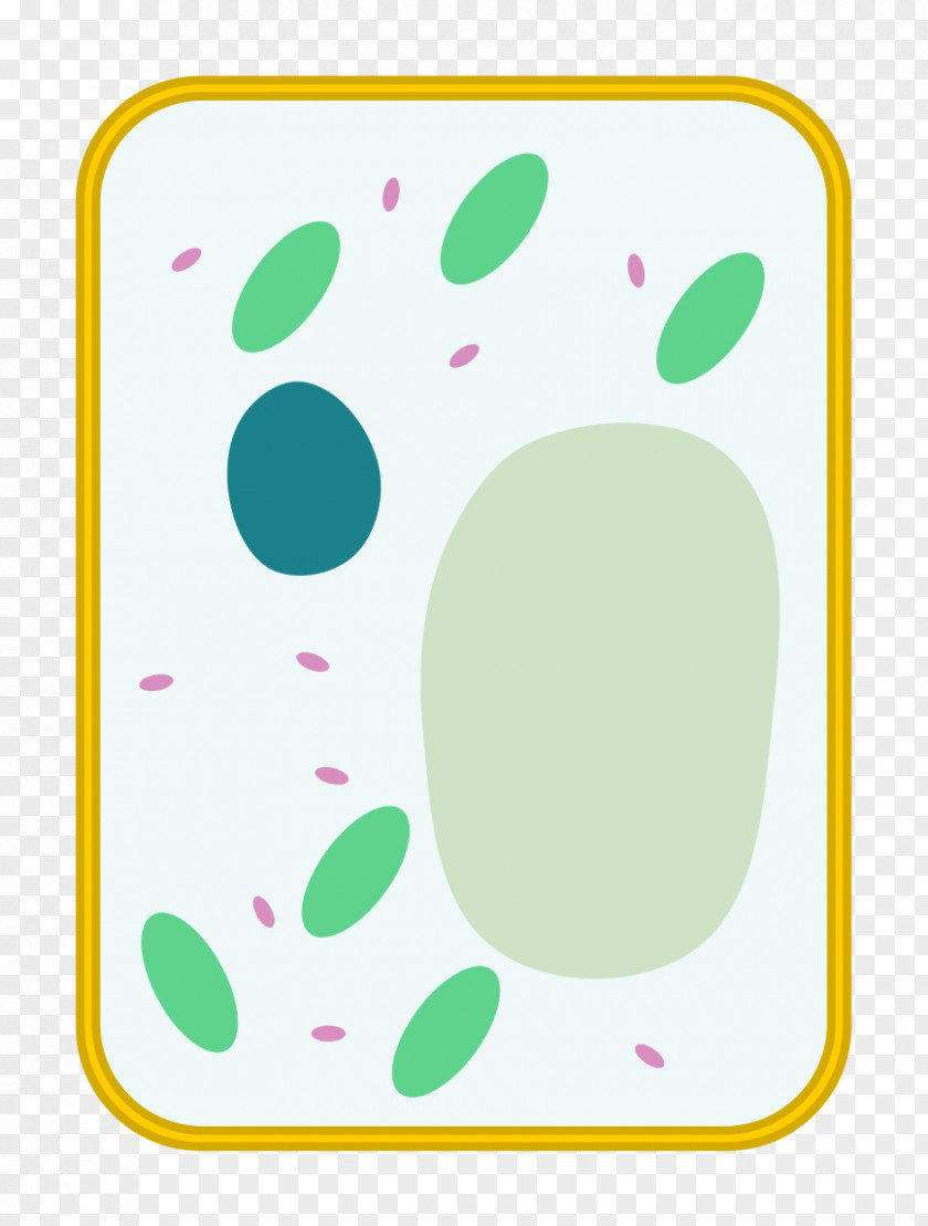 Paw Polka Dot Green Wall PNG