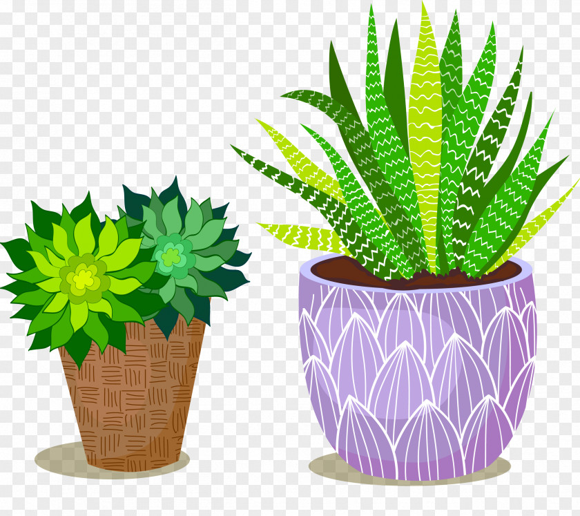 Potted Green Plants Bonsai Flowerpot PNG