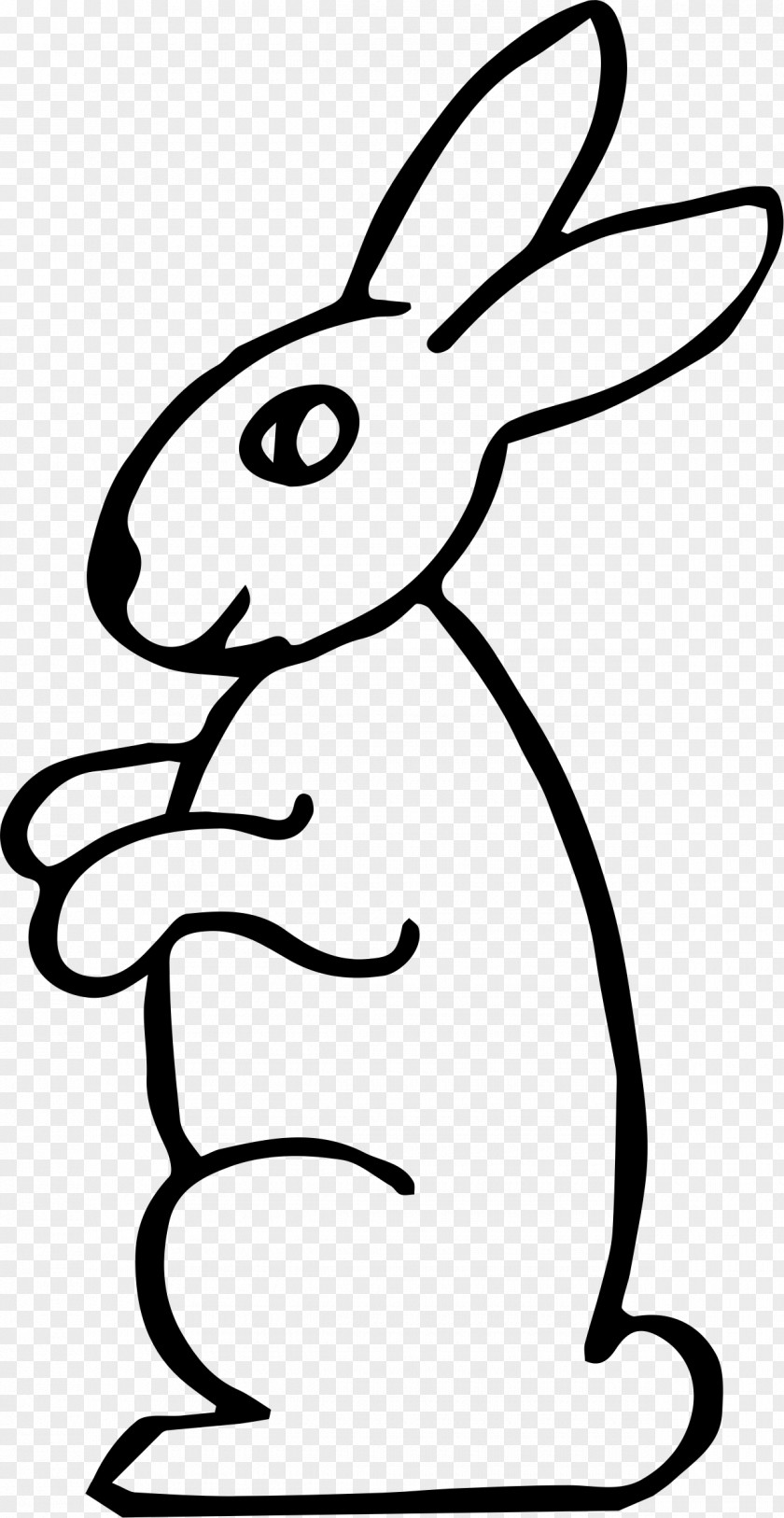 Rabbit Clipart Hare Domestic Squirrel Clip Art PNG