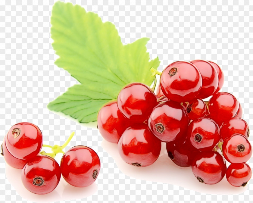 Snack Arctostaphylos Fruit Cartoon PNG