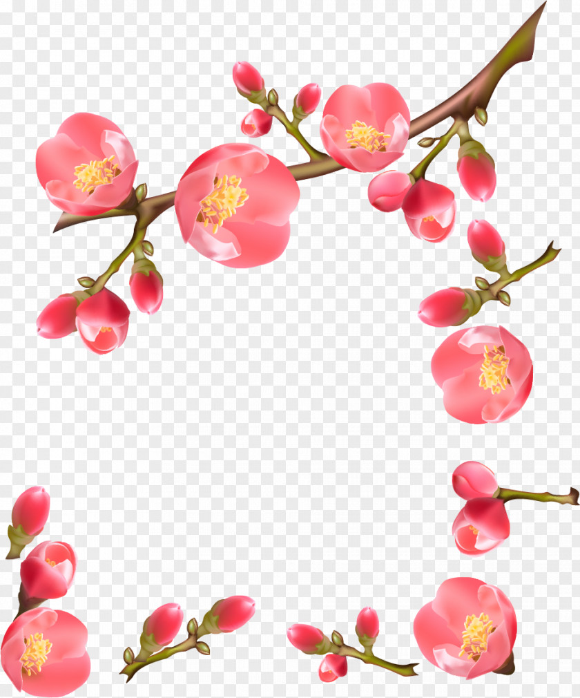 Spring Flowering Quince Royalty-free PNG