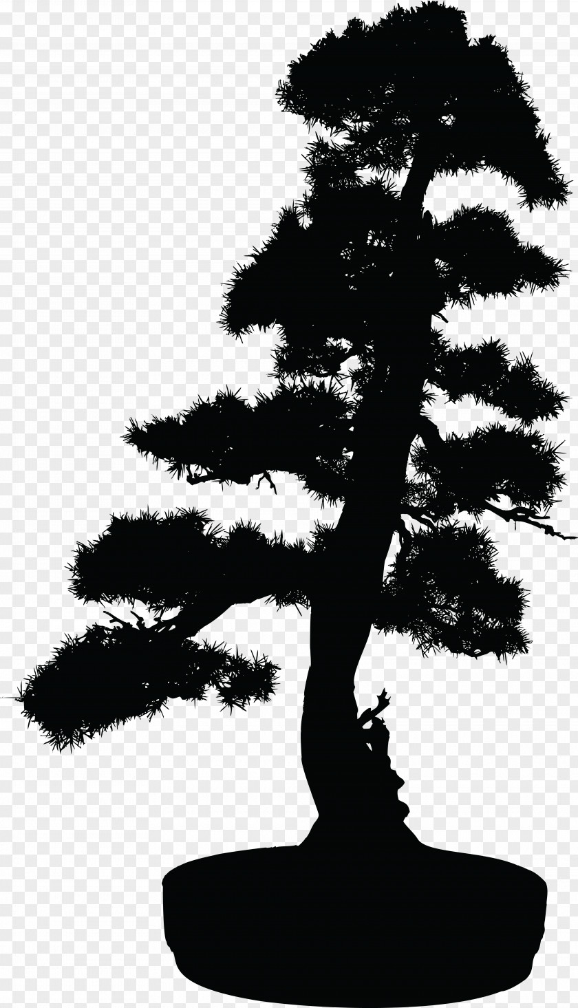 Tree Bonsai Silhouette Clip Art PNG