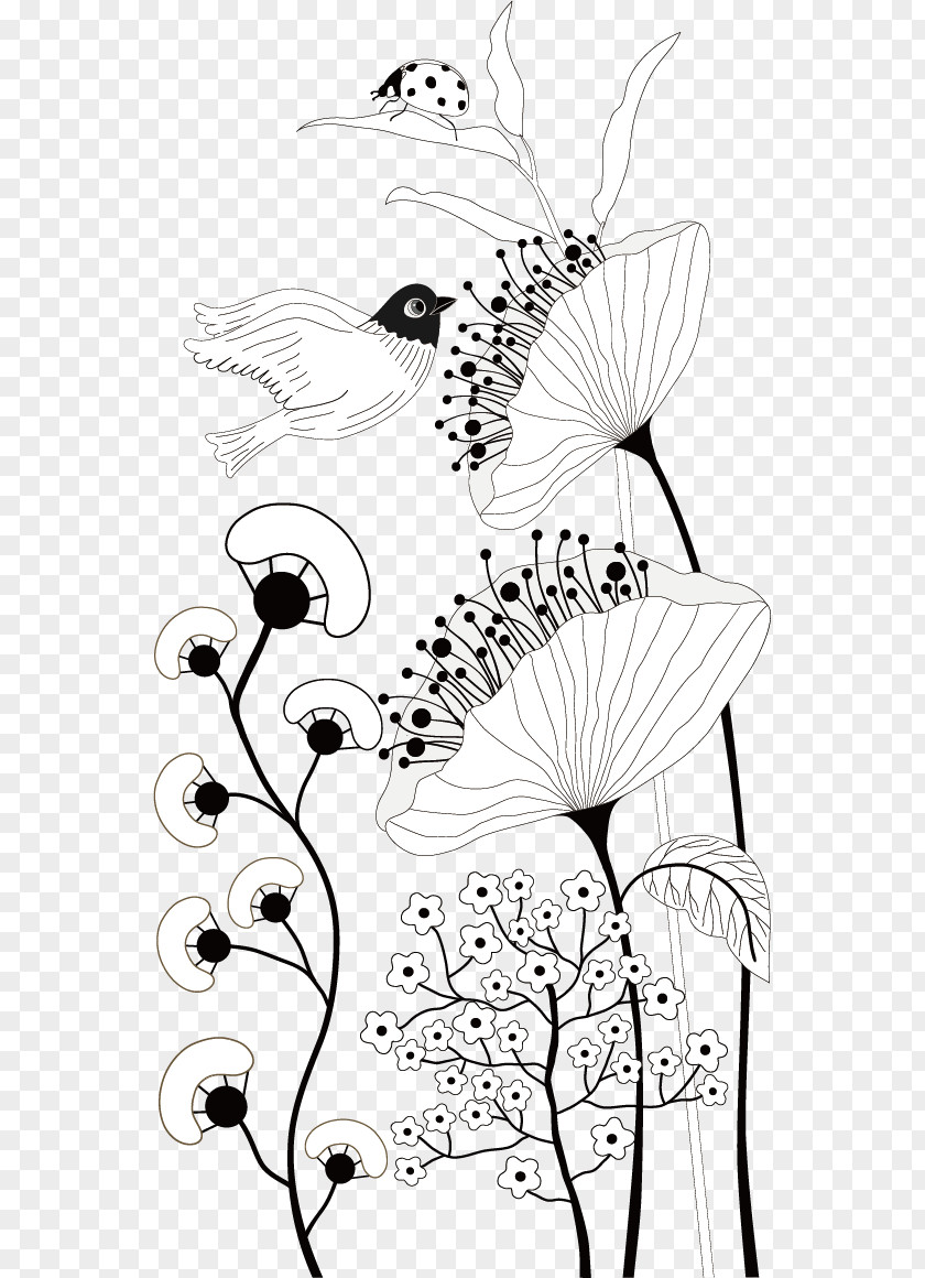 Vector Floral Material Black And White Decoupage Photography Illustration PNG