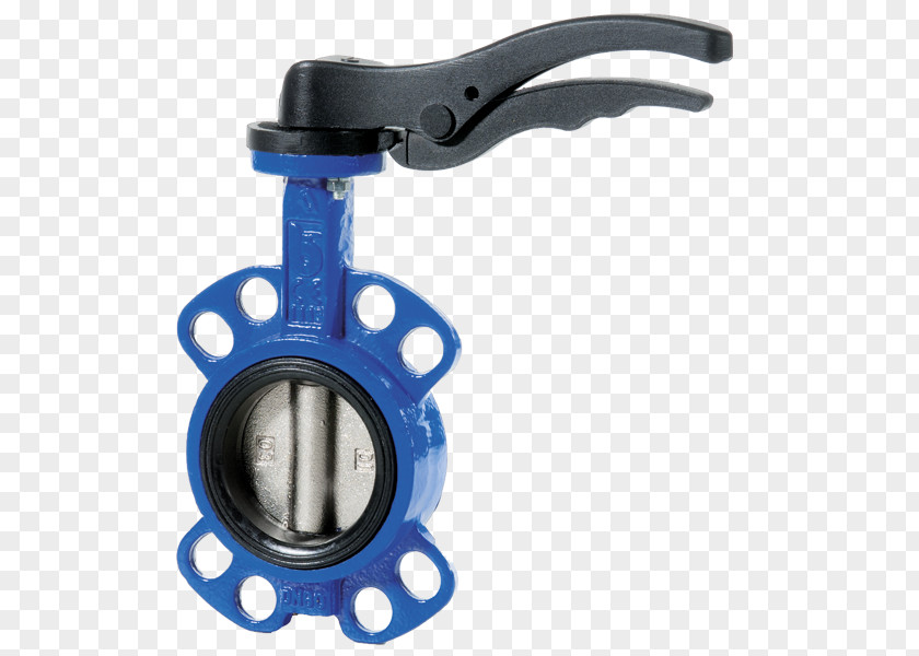 Wafer Butterfly Valve Flange Ductile Iron Stainless Steel PNG