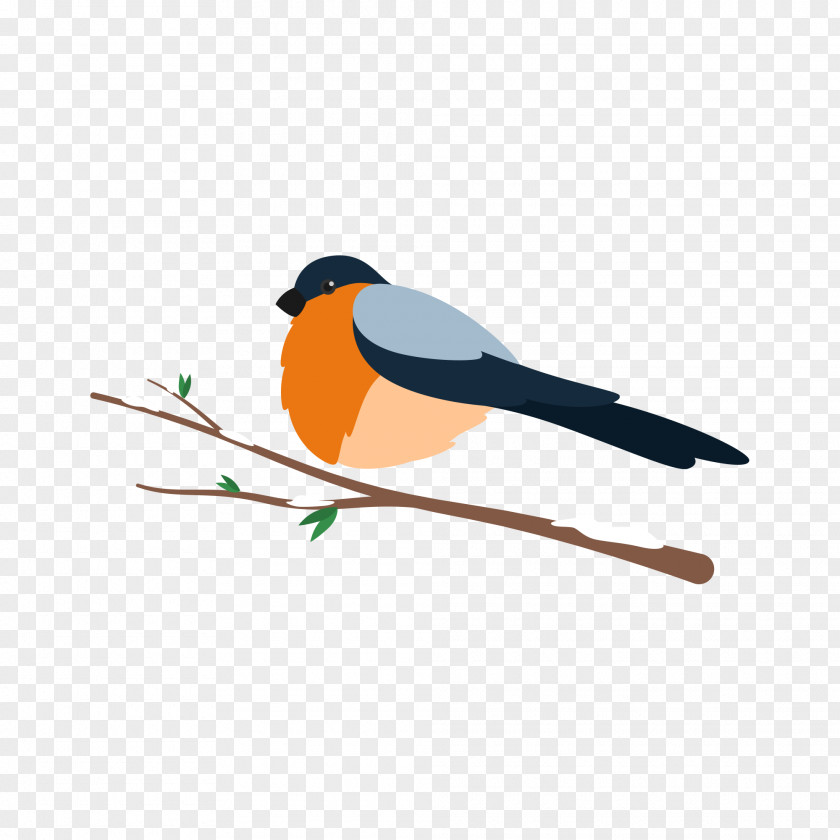 Birds Illustration Lovebird Goose Parrot PNG