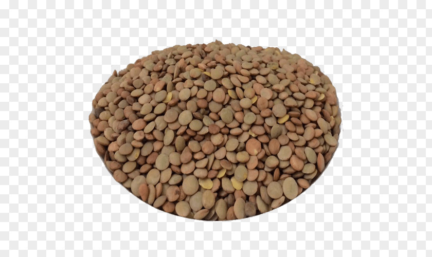 Sementes Nut Lentil Seed Commodity PNG