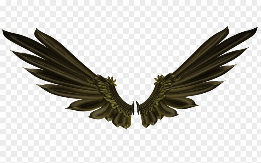 Wings Bird Desktop Wallpaper Clip Art PNG