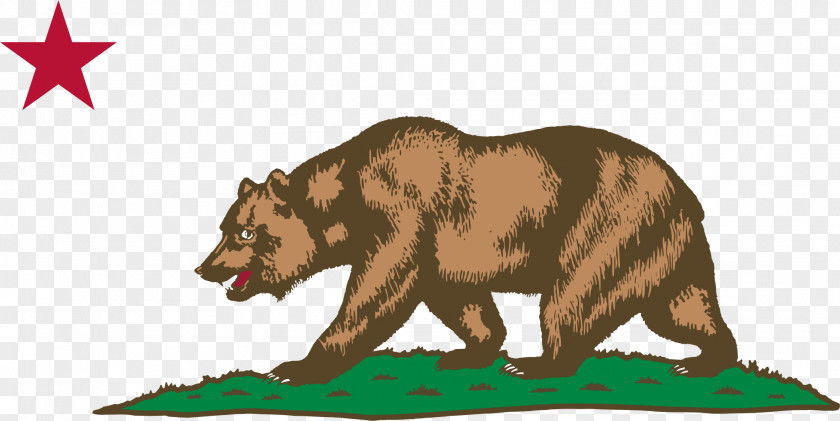 Big Bear Sonoma California Republic Flag Of Alta Grizzly PNG