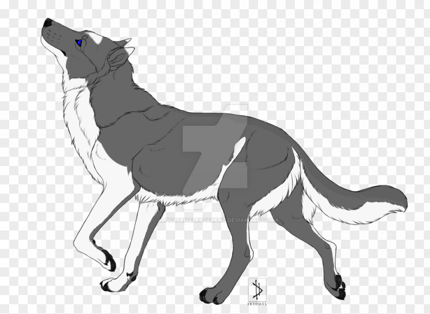 Dog Horse Cat Macropods Line Art PNG