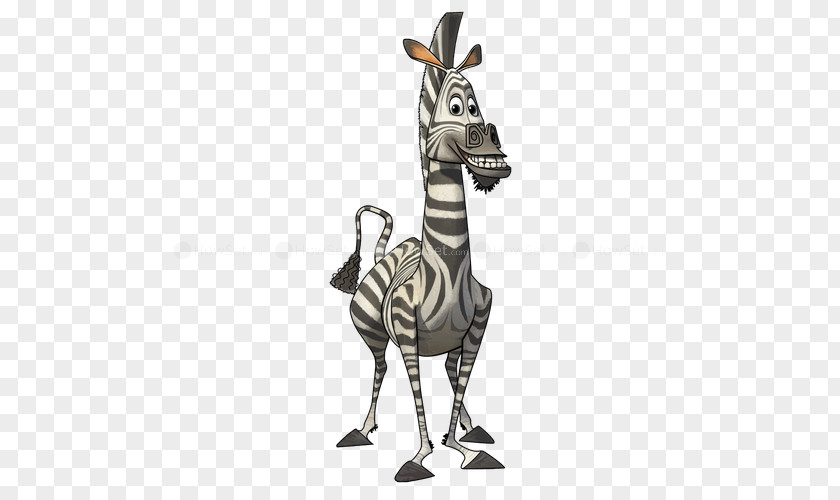 Madagascar Marty Alex Melman Julien PNG