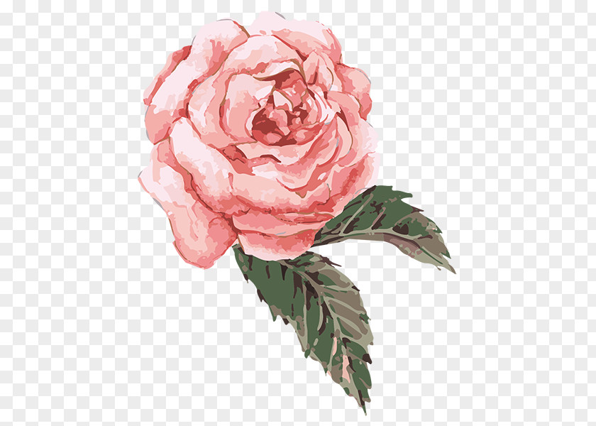 Painting Still Life: Pink Roses Watercolor PNG