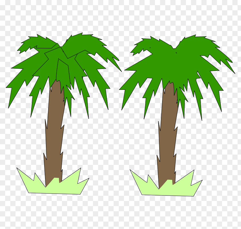 Picture Of Palm Trees Arecaceae Tree Free Content Clip Art PNG