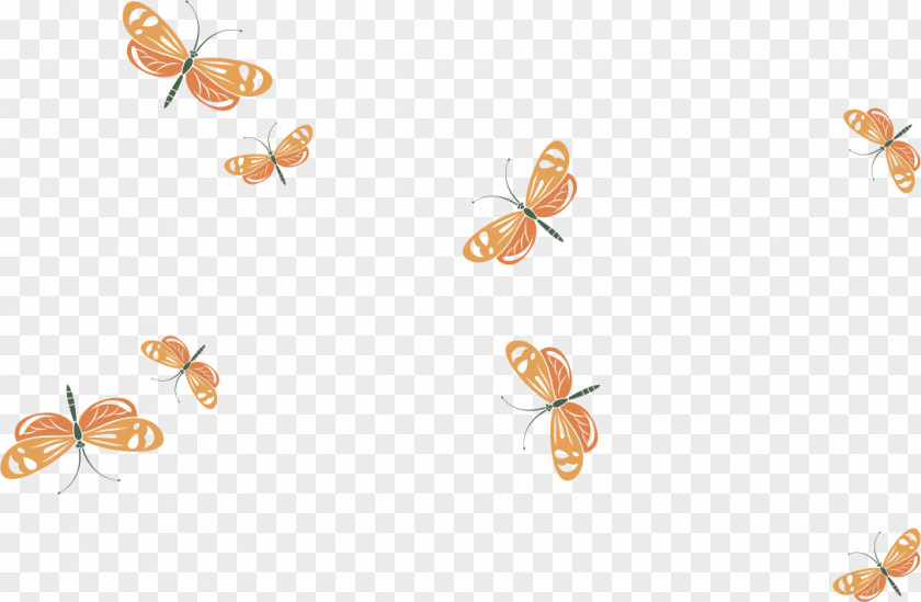 Vector Butterfly Insect PNG