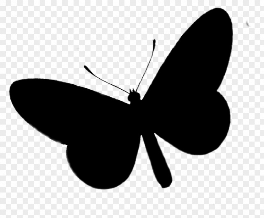 Brush-footed Butterflies Insect Clip Art Silhouette Line PNG