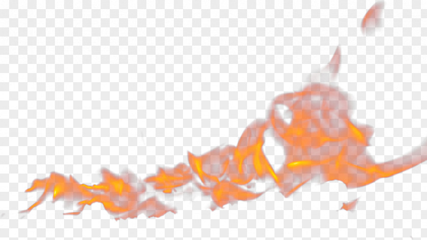 Flame Light Fire PNG