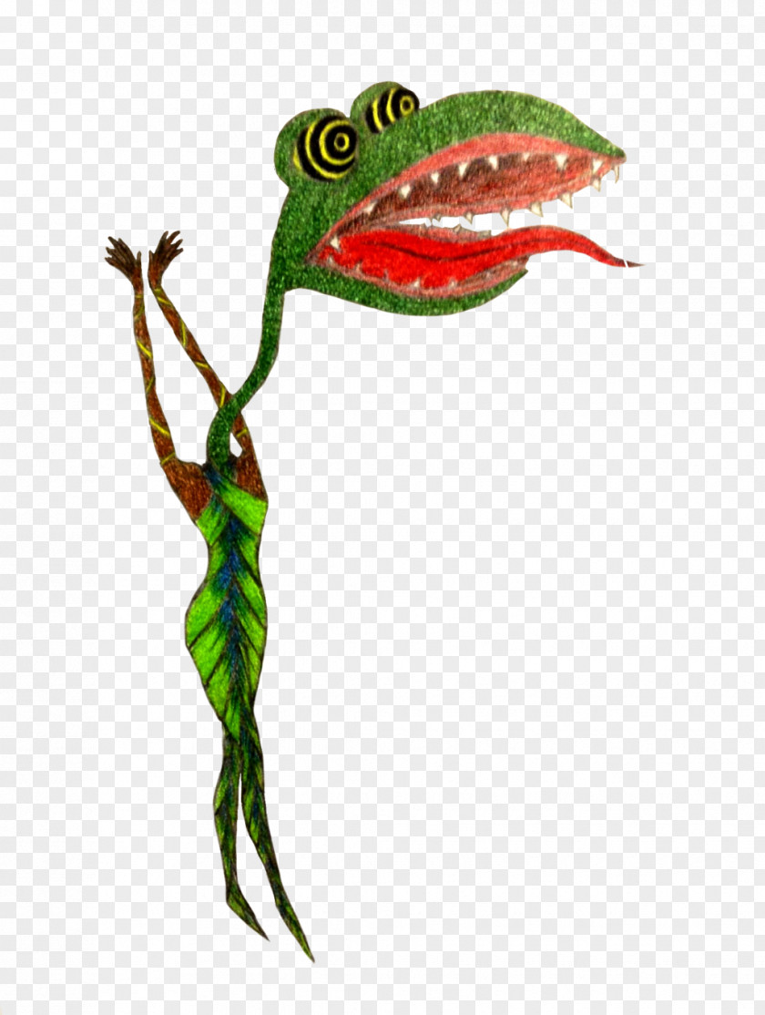 Frog Tree True Reptile Character PNG