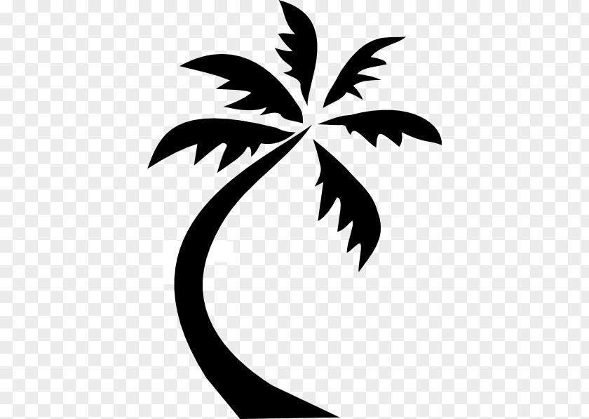 Palm Black Arecaceae Coconut Clip Art PNG