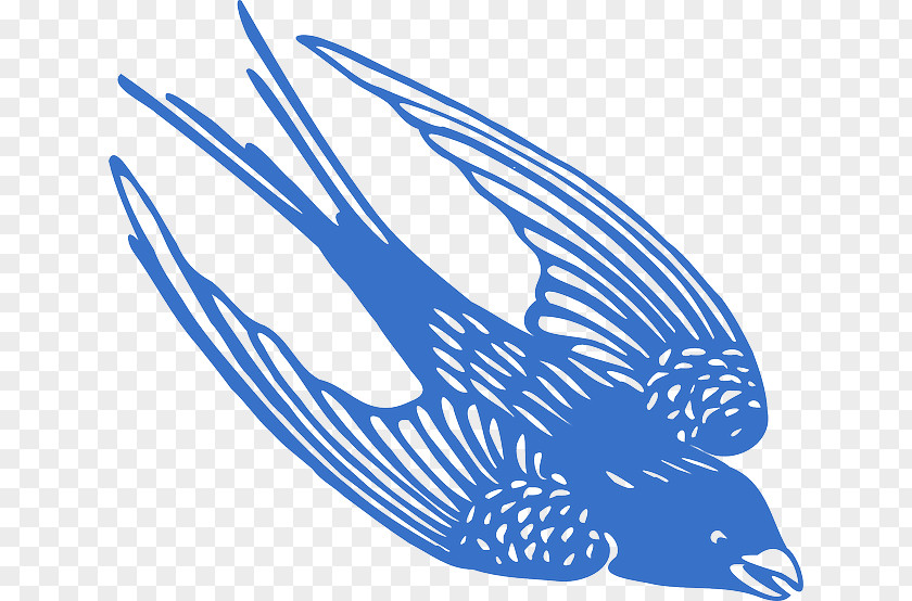 Blue Bird Jay Clip Art PNG