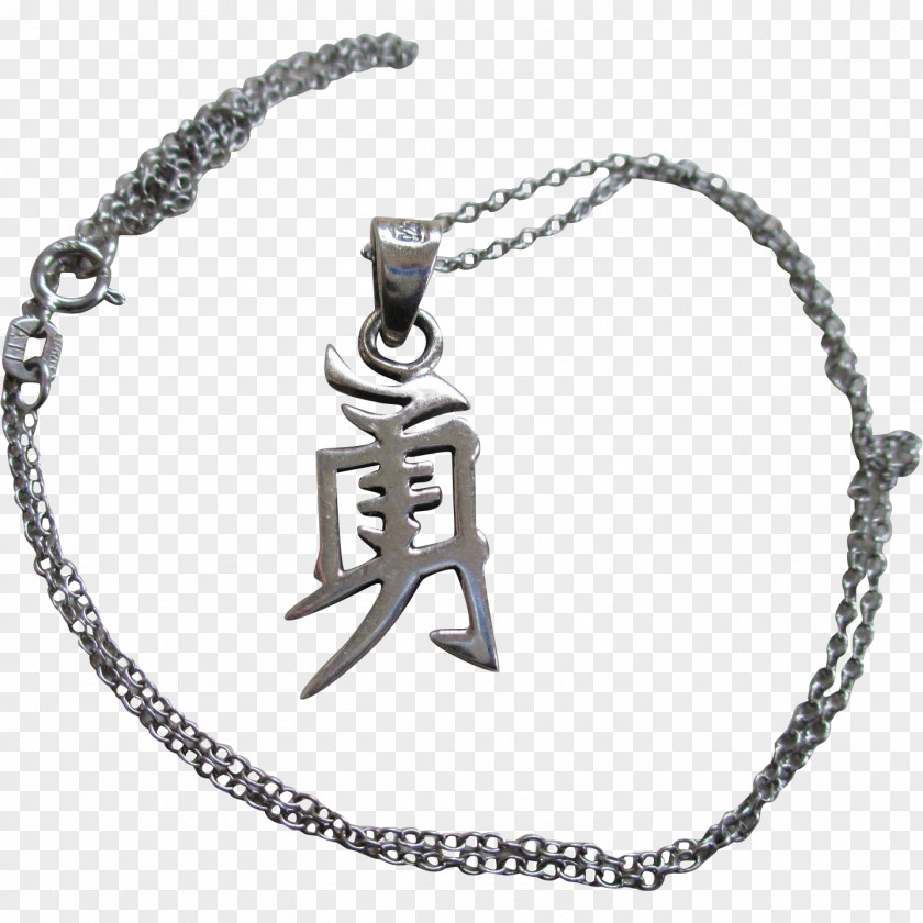 Chinese Zodiac Necklace Jewellery Charms & Pendants Silver Chain PNG
