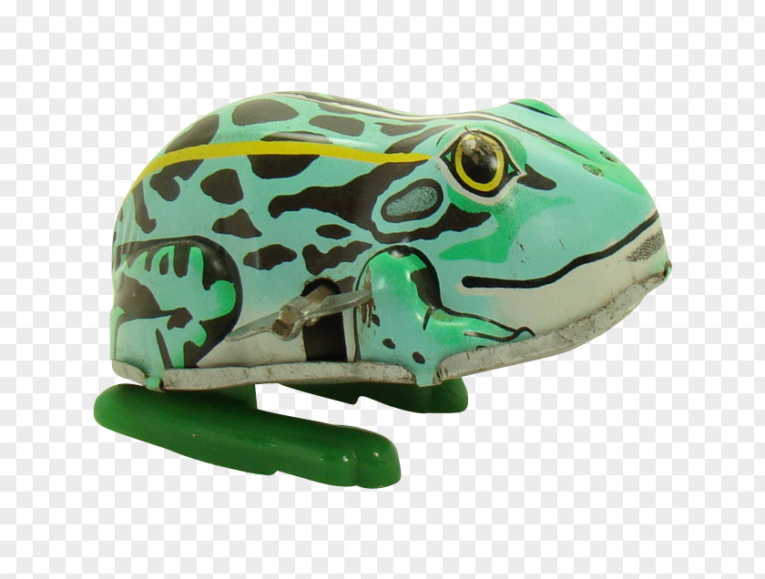 Design True Frog Reptile PNG