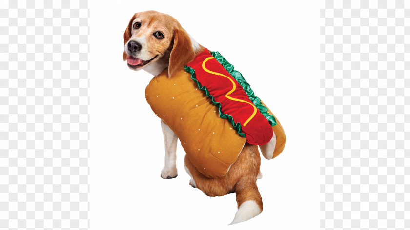 Hotdog Puppy Dachshund Pet Beagle Hot Dog PNG