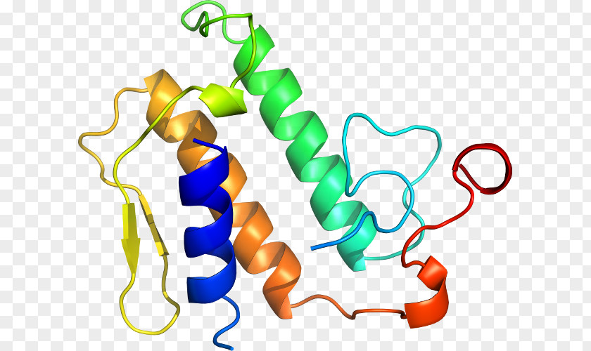 Phospholipase A2 Line Organism Clip Art PNG