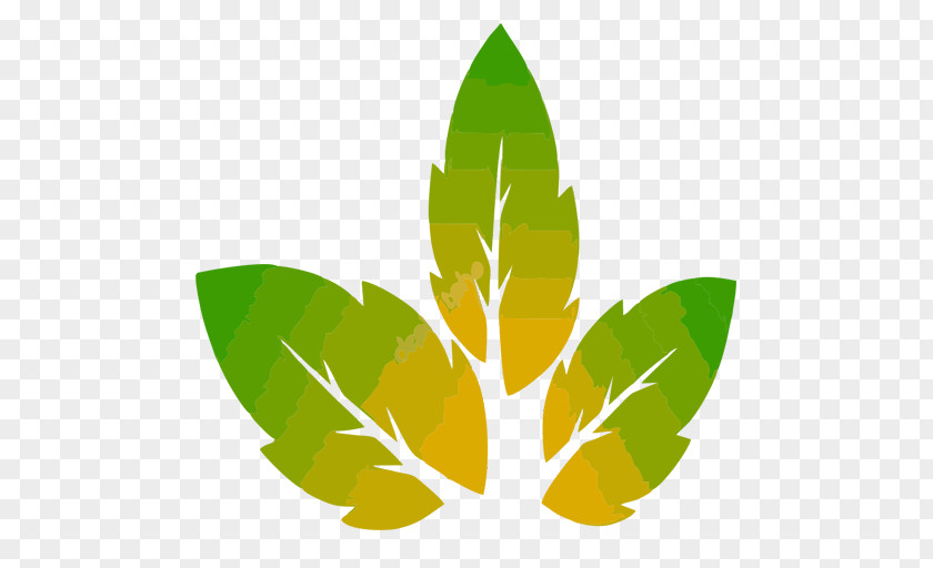 Leaf Clip Art Cannabis Tree Paper PNG