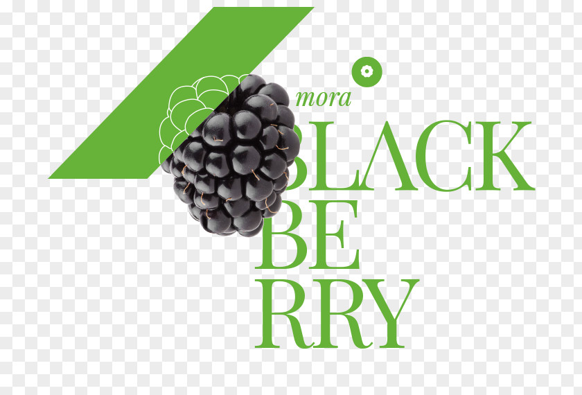 MORA Fruit Production Amora Blackberry PNG