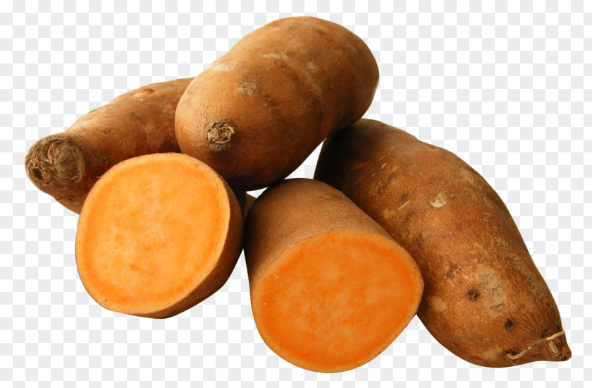 Vegetable Yam Transparency Sweet Potato Clip Art PNG